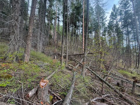 Tiny photo for N/A Hwy 35, Polson, MT 59860 (MLS # 30069086)