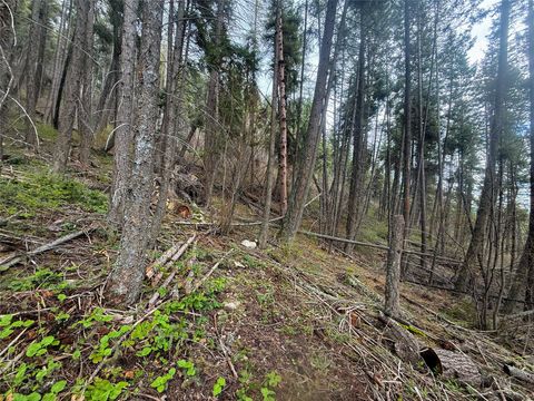 Tiny photo for N/A Hwy 35, Polson, MT 59860 (MLS # 30069086)