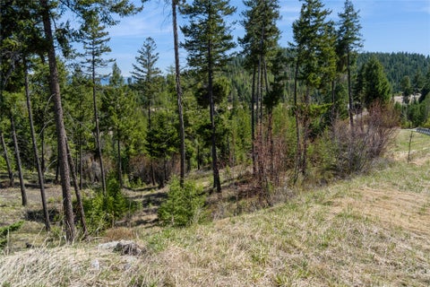 Photo of 1027 Trappers Creek, Lakeside, MT 59922 (MLS # 30079457)