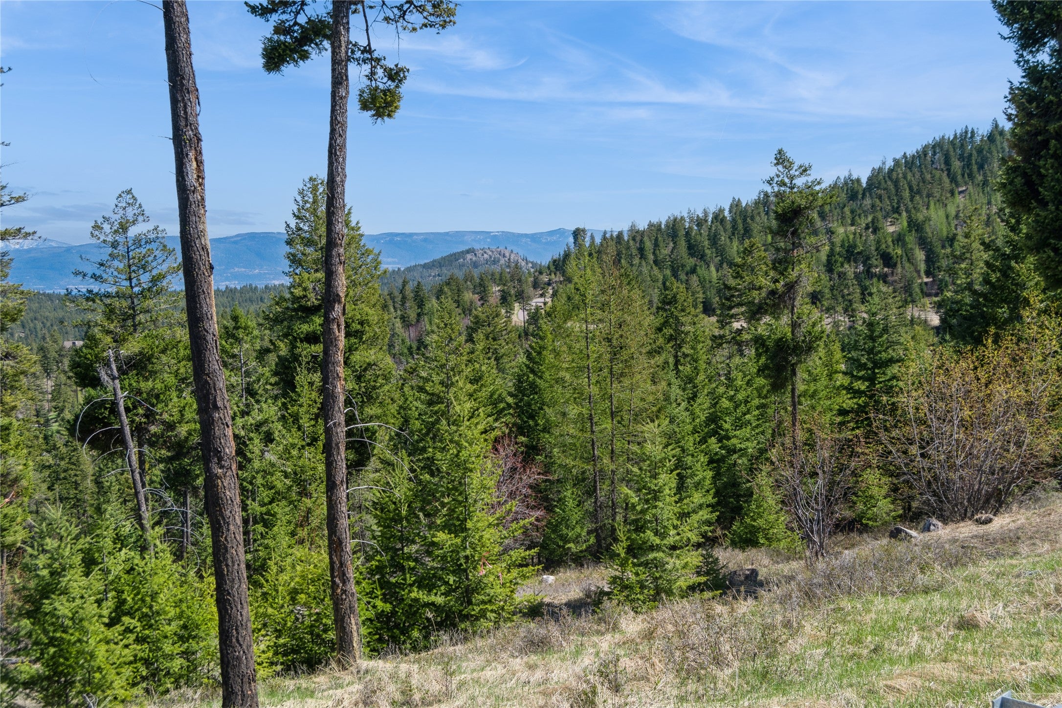 1027 Trappers Creek