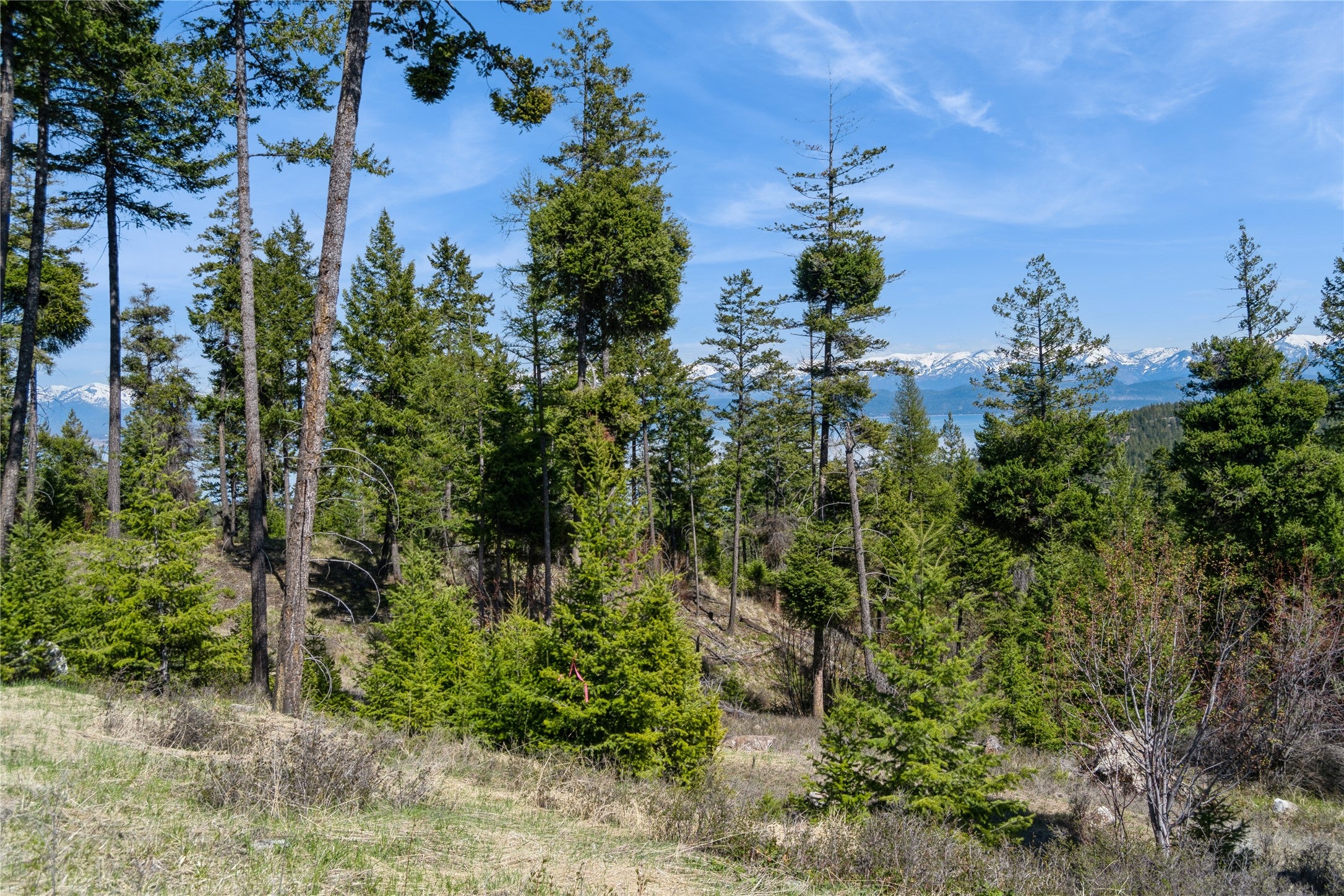 1027 Trappers Creek