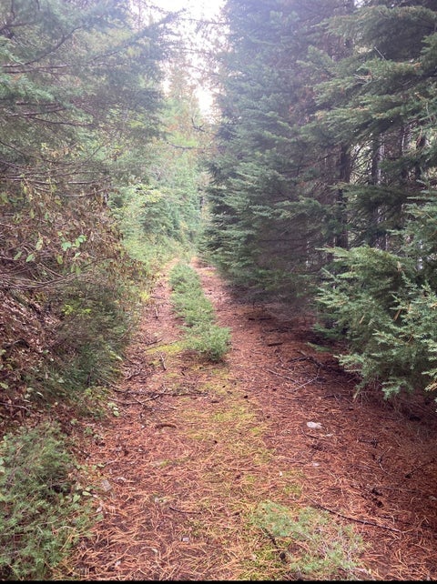Tiny photo for 58 Ridge Loop Road, Trout Creek, MT 59874 (MLS # 30070264)