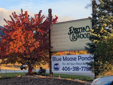 BLUE MOOSE PONDS, LLC Stevensville MT 59870