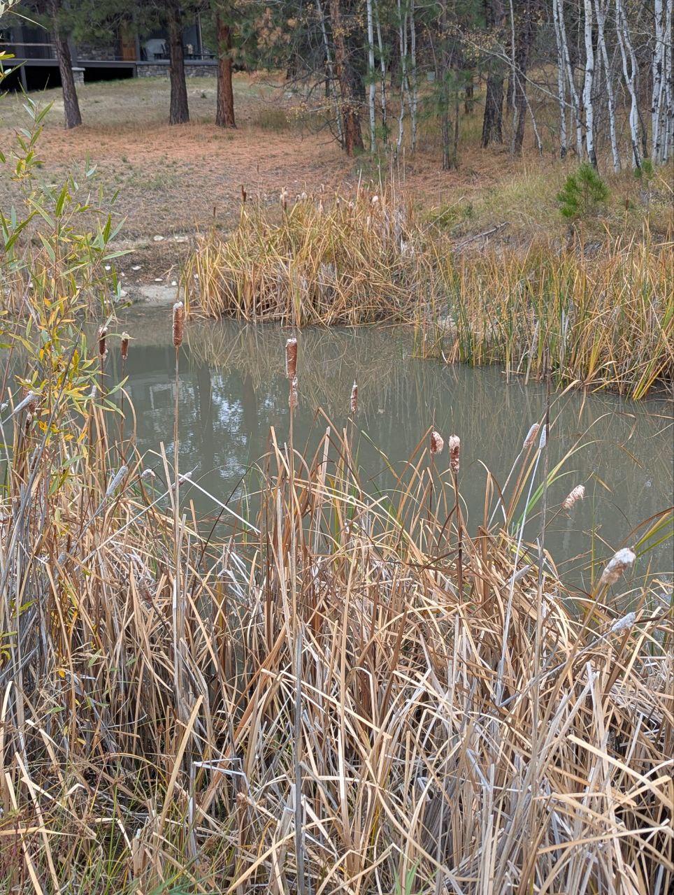 Stevensville, Montana 59870, United States, ,Commercial,Active,252329