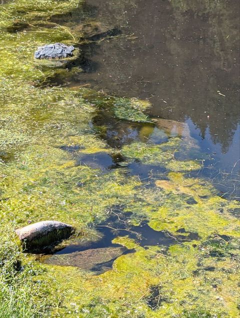 Photo of NHN HWY 93, Stevensville, MT 59870 (MLS # 30061905)