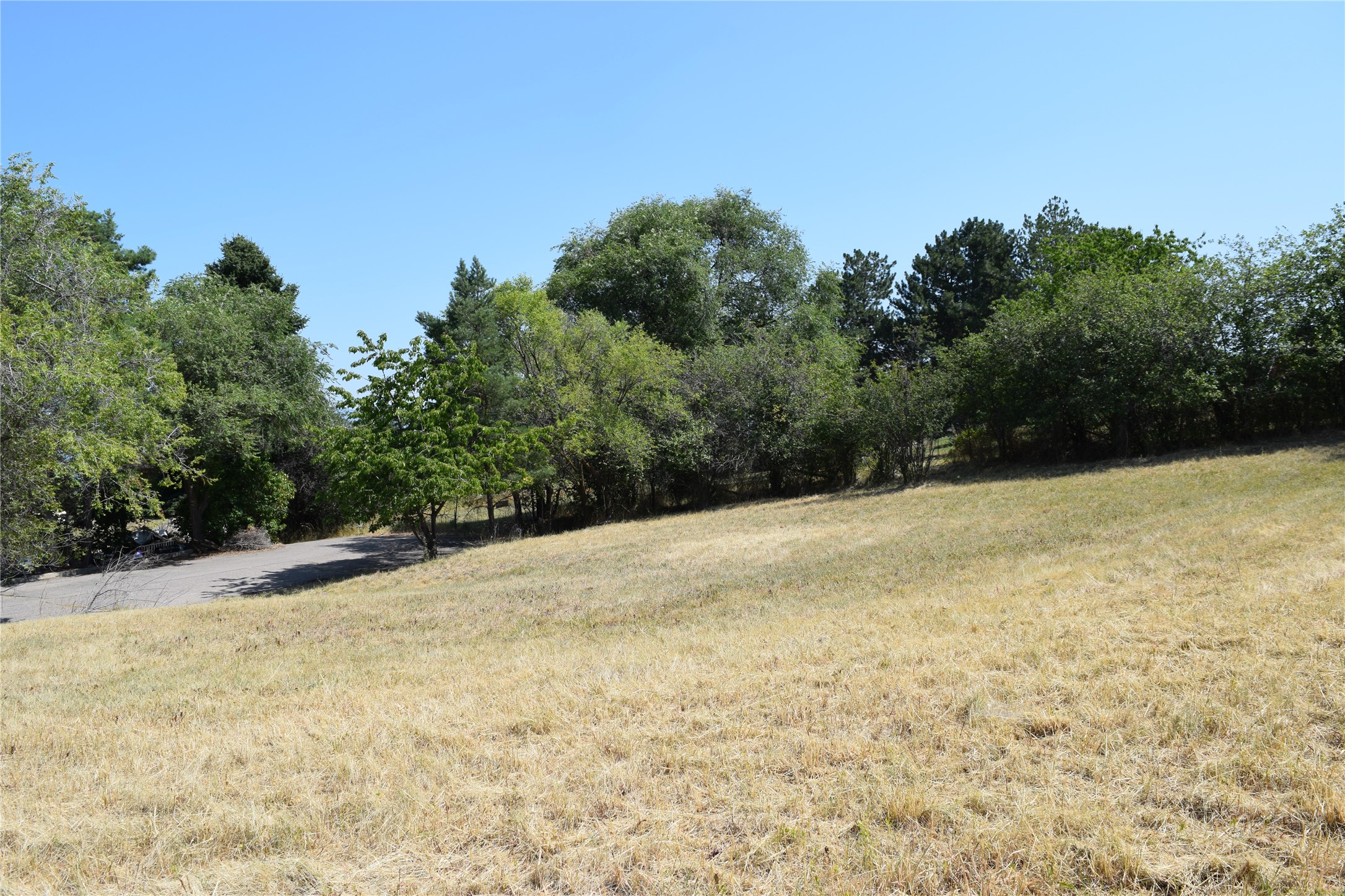 2001 Woodbine Way