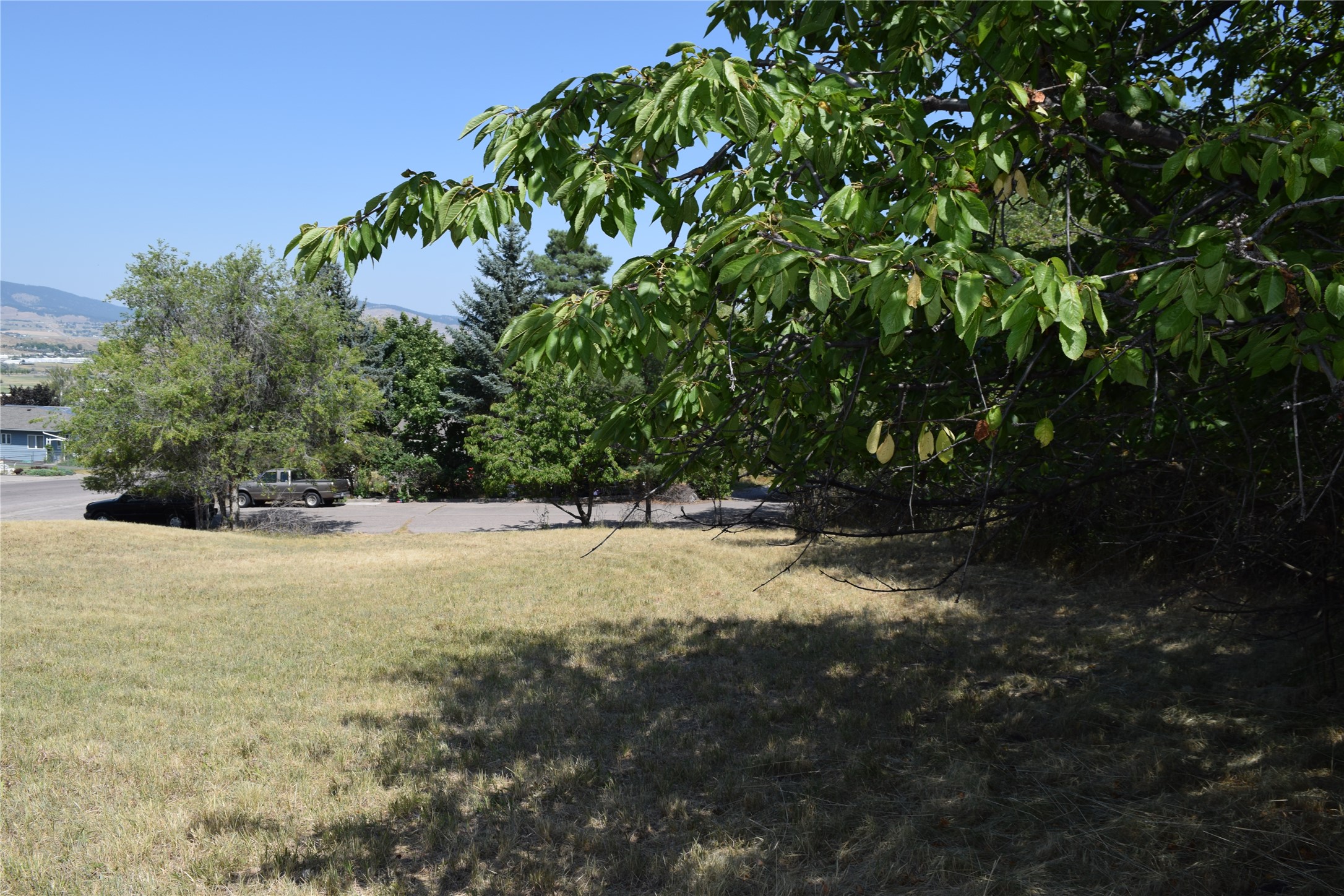 2001 Woodbine Way