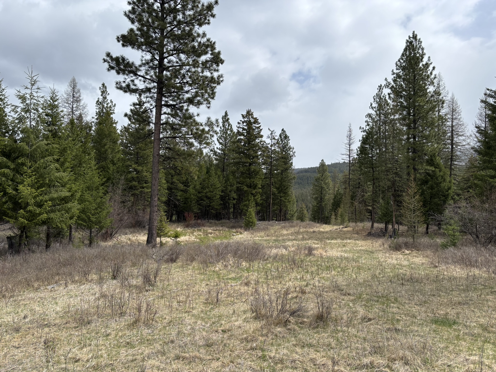 52 Haskill Ranch Road Lot-3