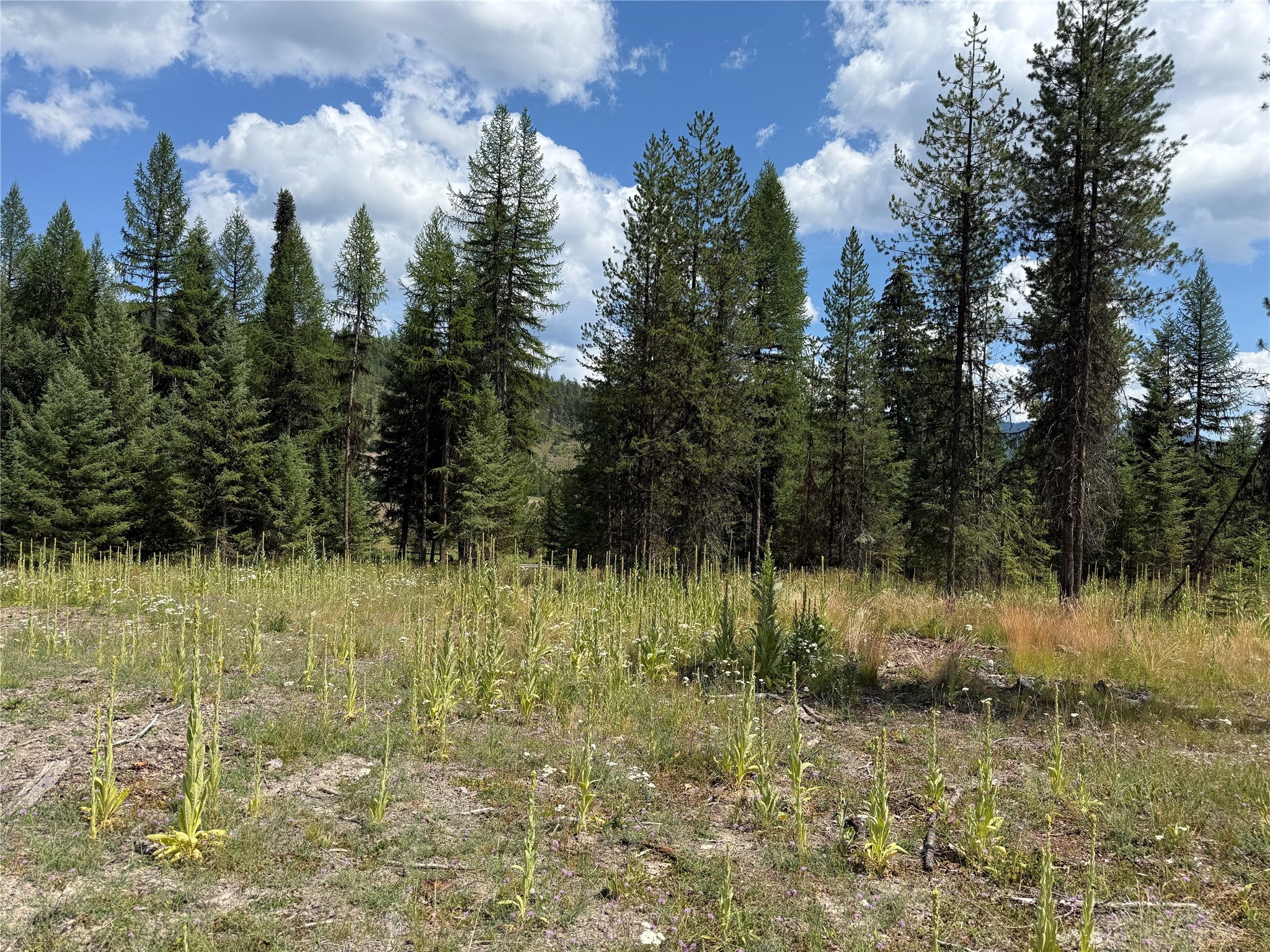 TBD Lot12 Schrieber Lake Subdivision