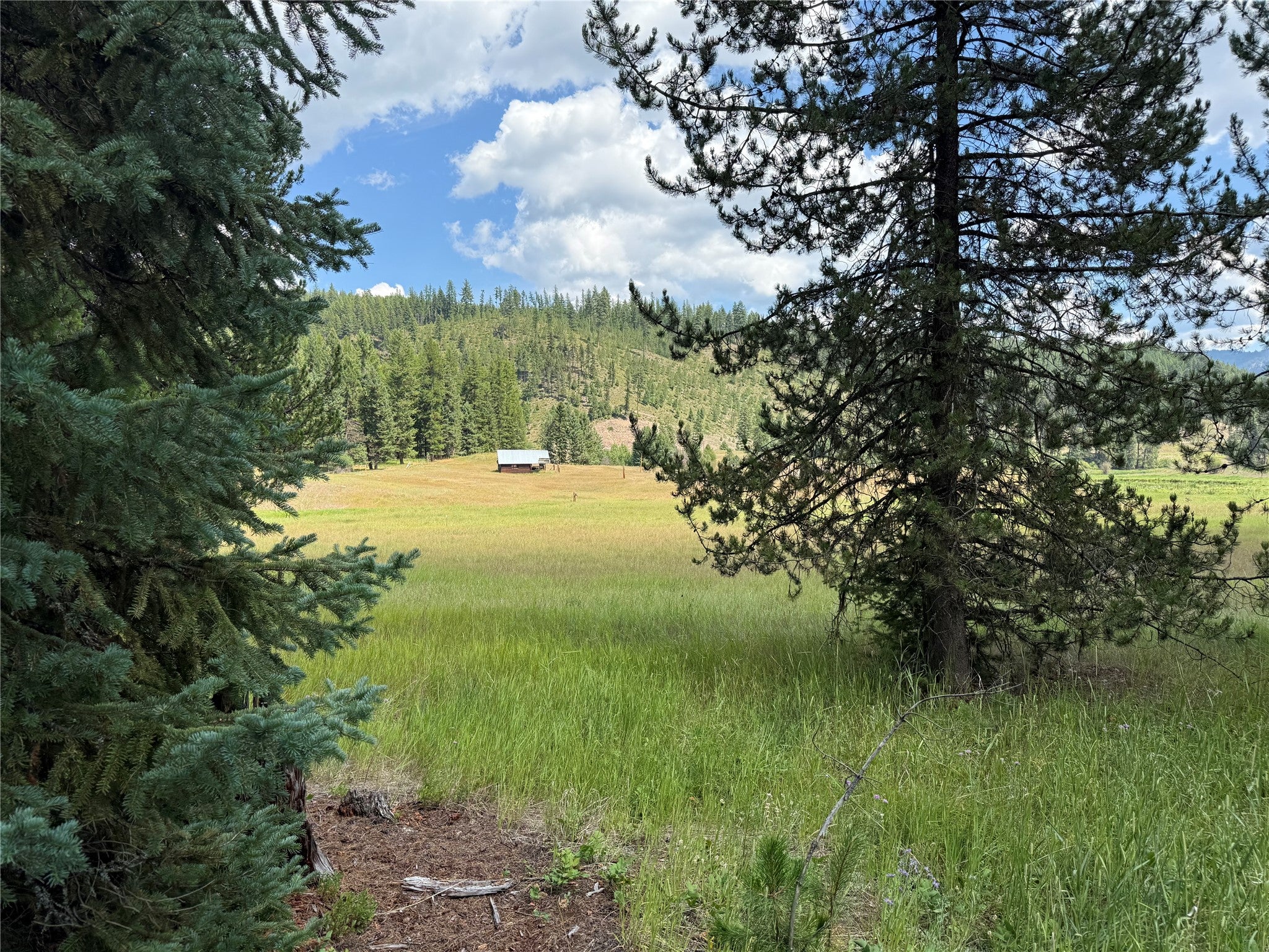 TBD Lot12 Schrieber Lake Subdivision