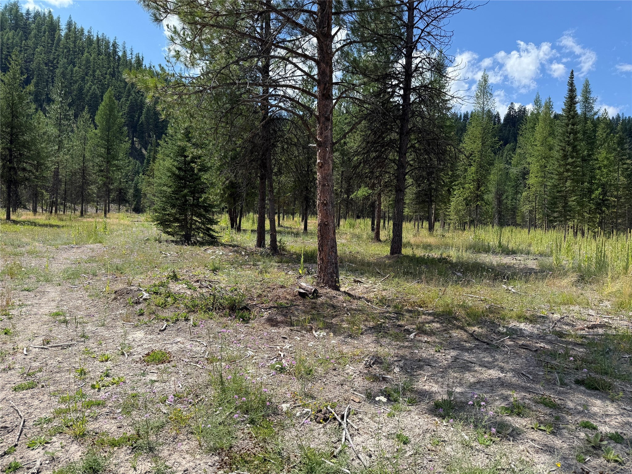 TBD Lot12 Schrieber Lake Subdivision