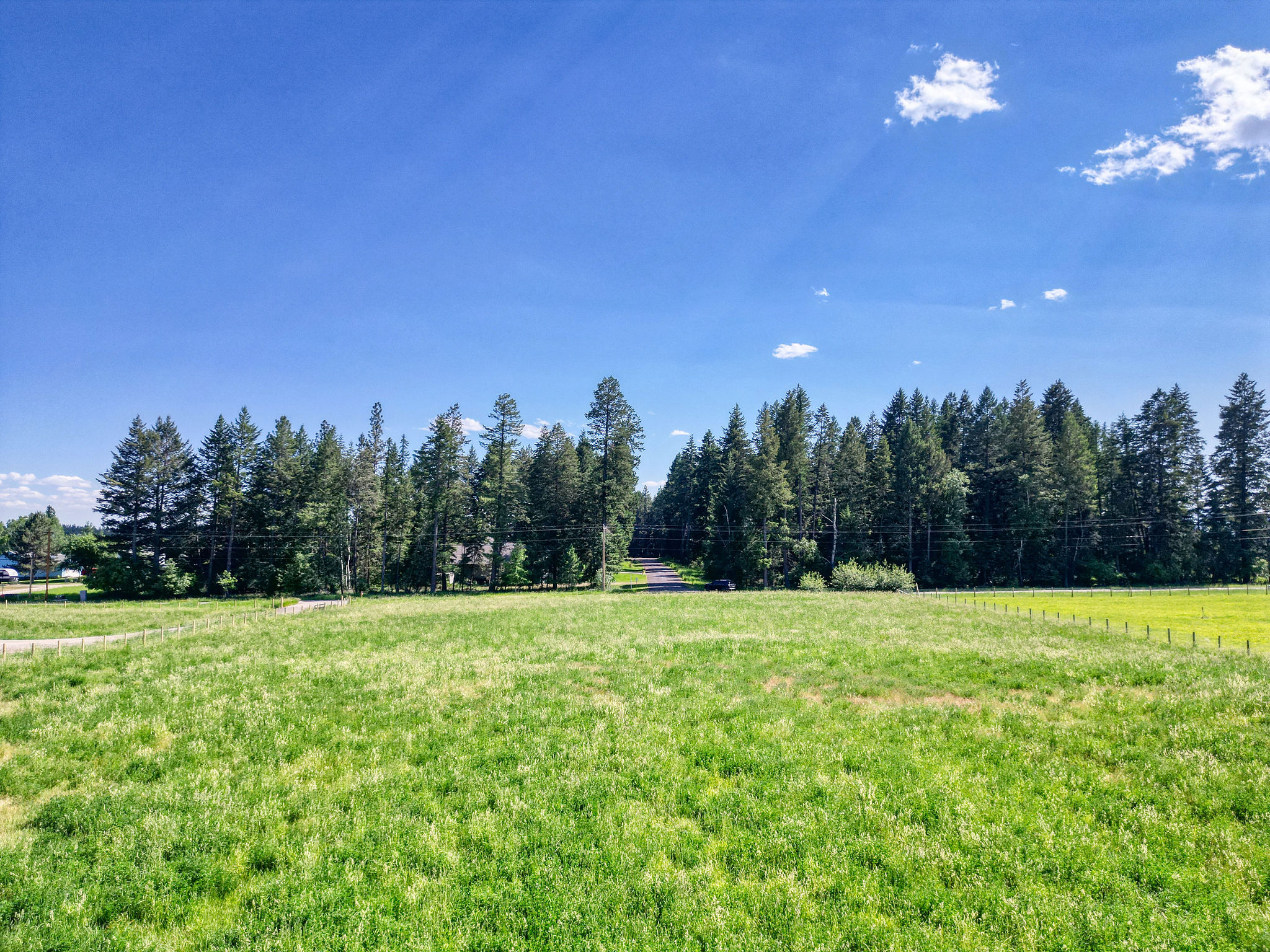 521 Yeoman Hall Road