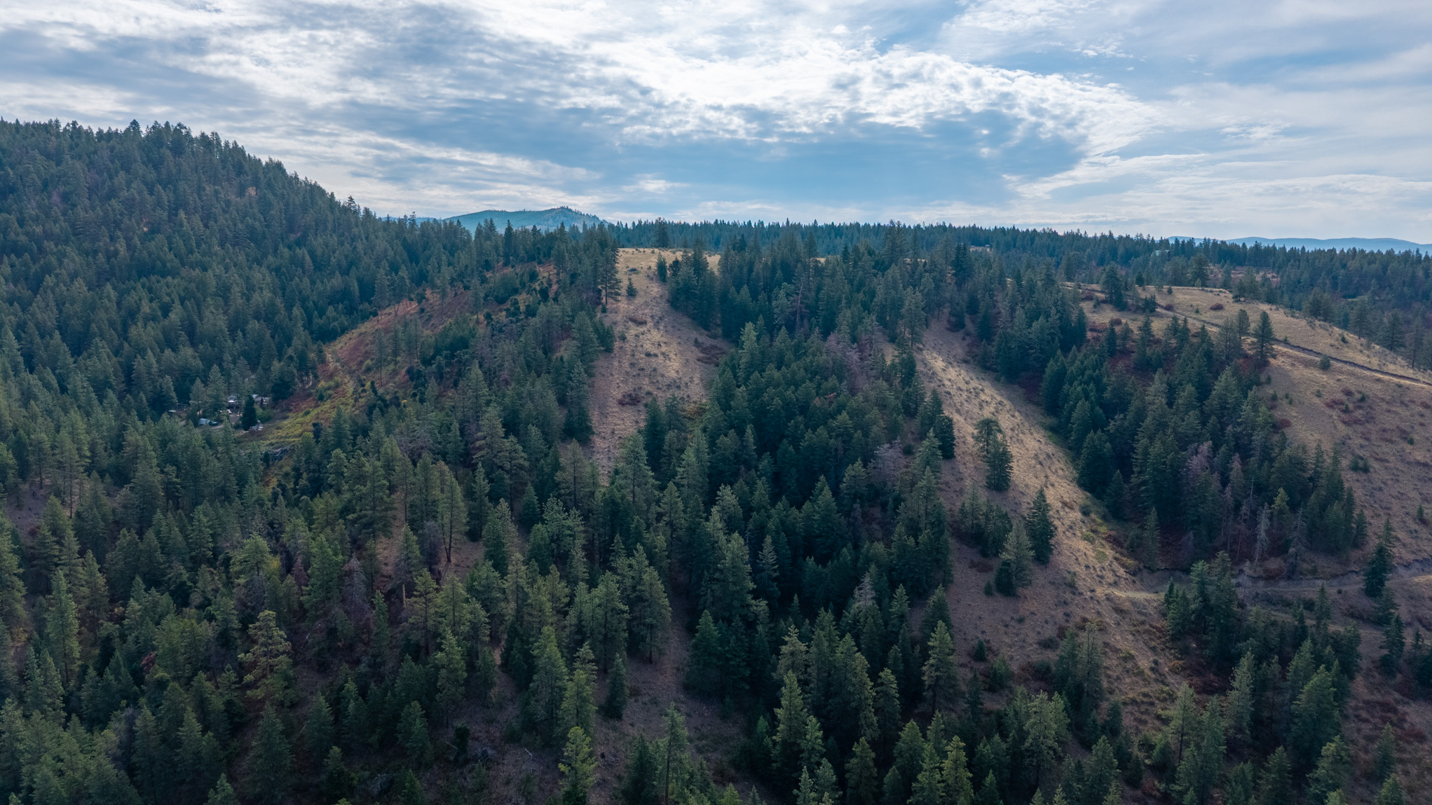 NHN Copper Ridge Trail