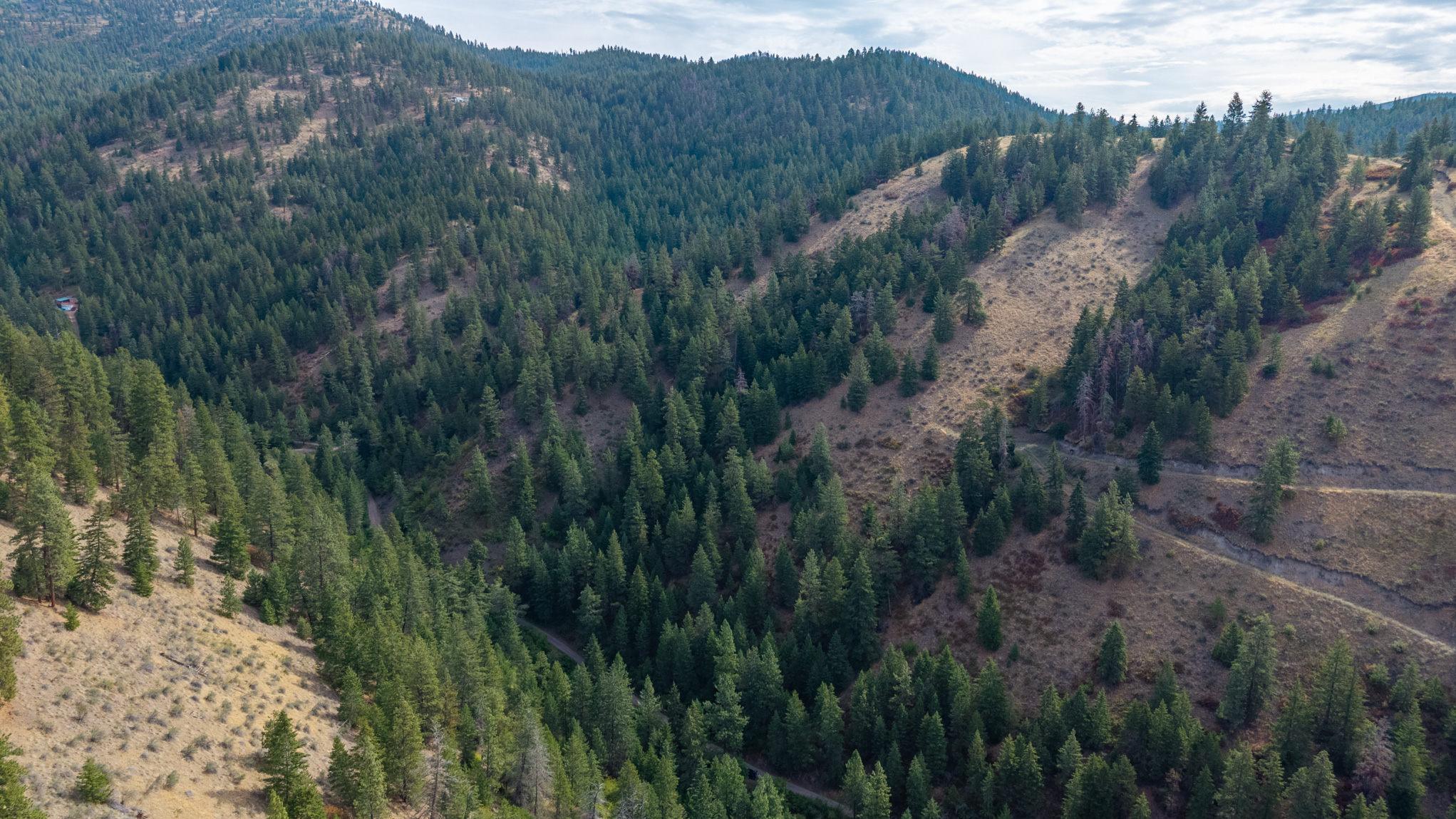 NHN Copper Ridge Trail