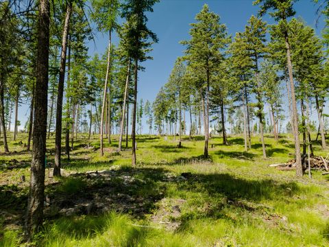 Tiny photo for 523 Northern Larch Trail #Lot 72, Kalispell, MT 59901 (MLS # 30053044)