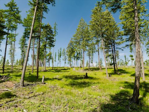Tiny photo for 523 Northern Larch Trail #Lot 72, Kalispell, MT 59901 (MLS # 30053044)