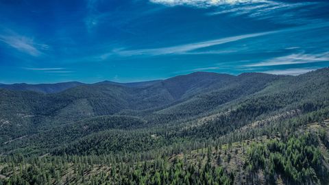 NHN W Fork Combest Creek Road Plains MT 59859