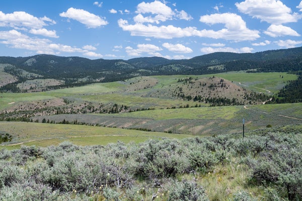 BLUE SAGE TRL, CORVALLIS, MT 59828 - Image 533d1d856483169cb1bf1882043a9cee/610467768