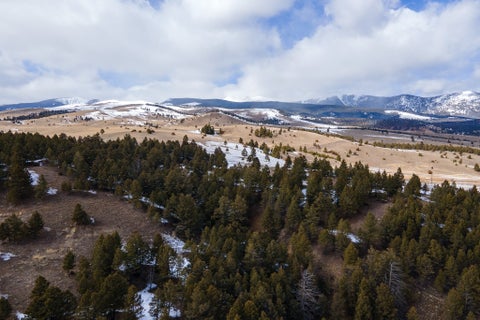 Tiny photo for 1380 Glacier View Drive, Deer Lodge, MT 59722 (MLS # 30076941)
