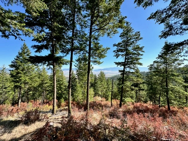 Parcel 2A Dry Gulch Road