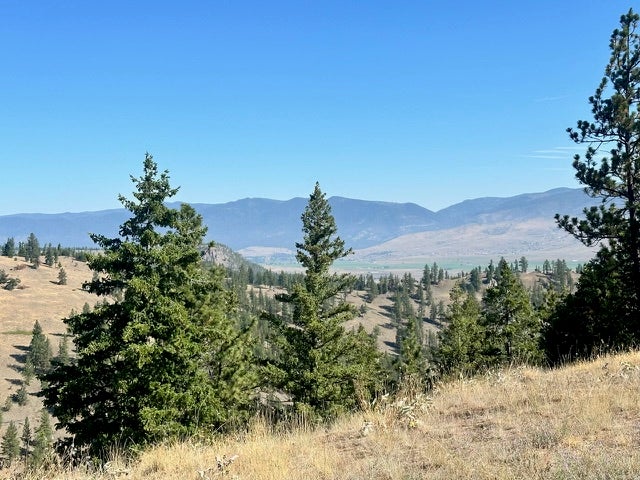 Parcel 2A Dry Gulch Road