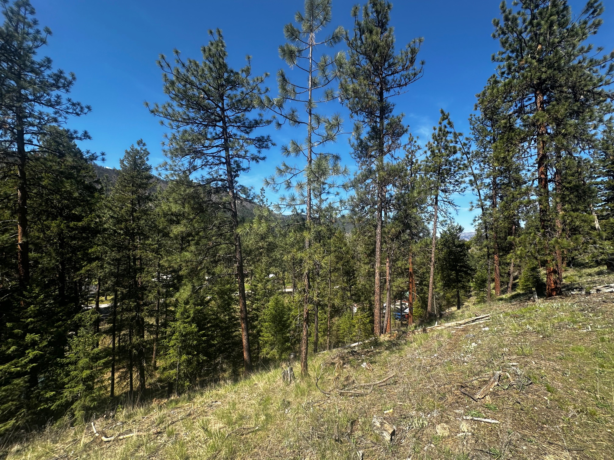 Lot 90 Riverbend Road