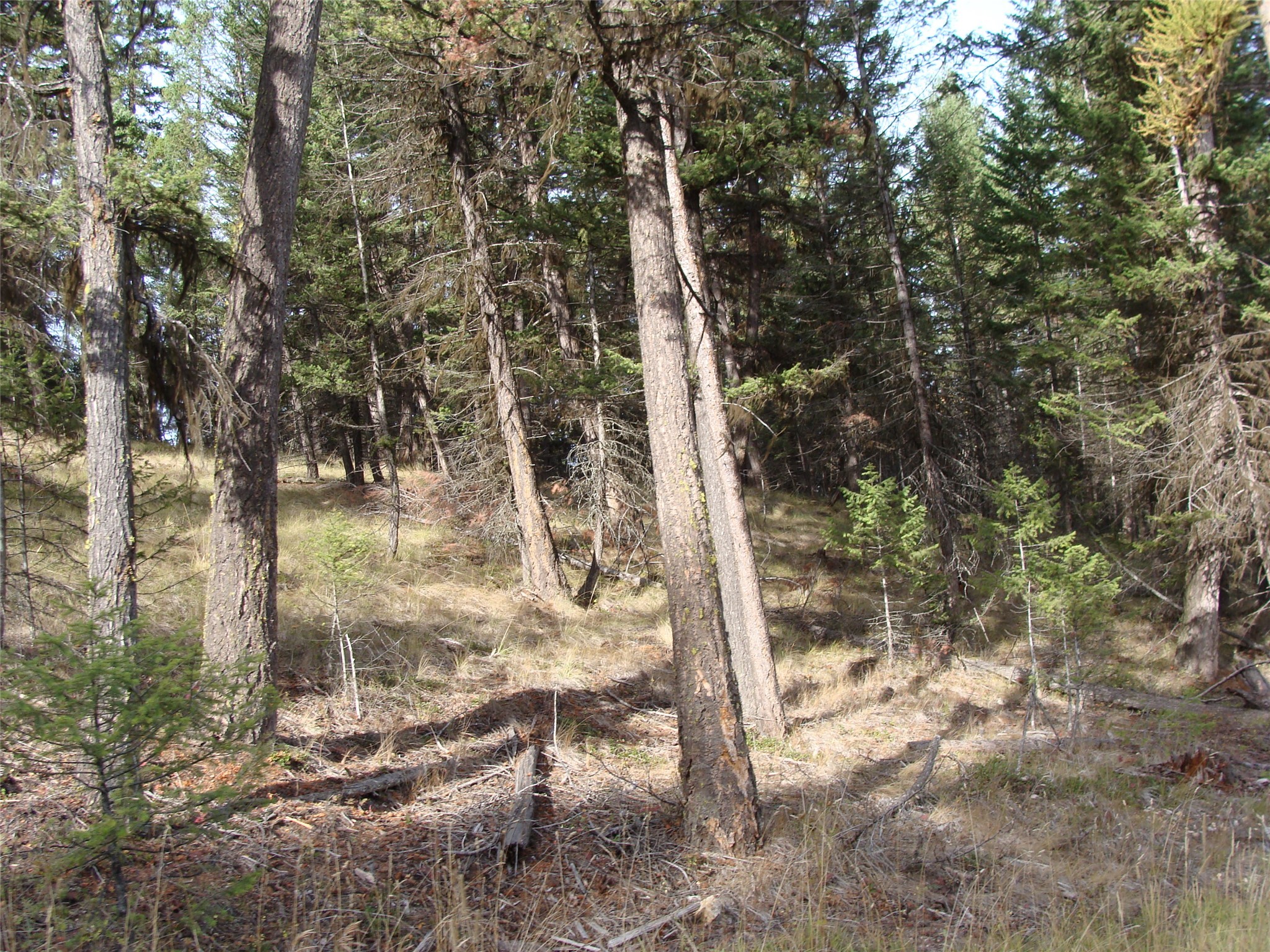Lot 8 Coyote Ridge Pass Road