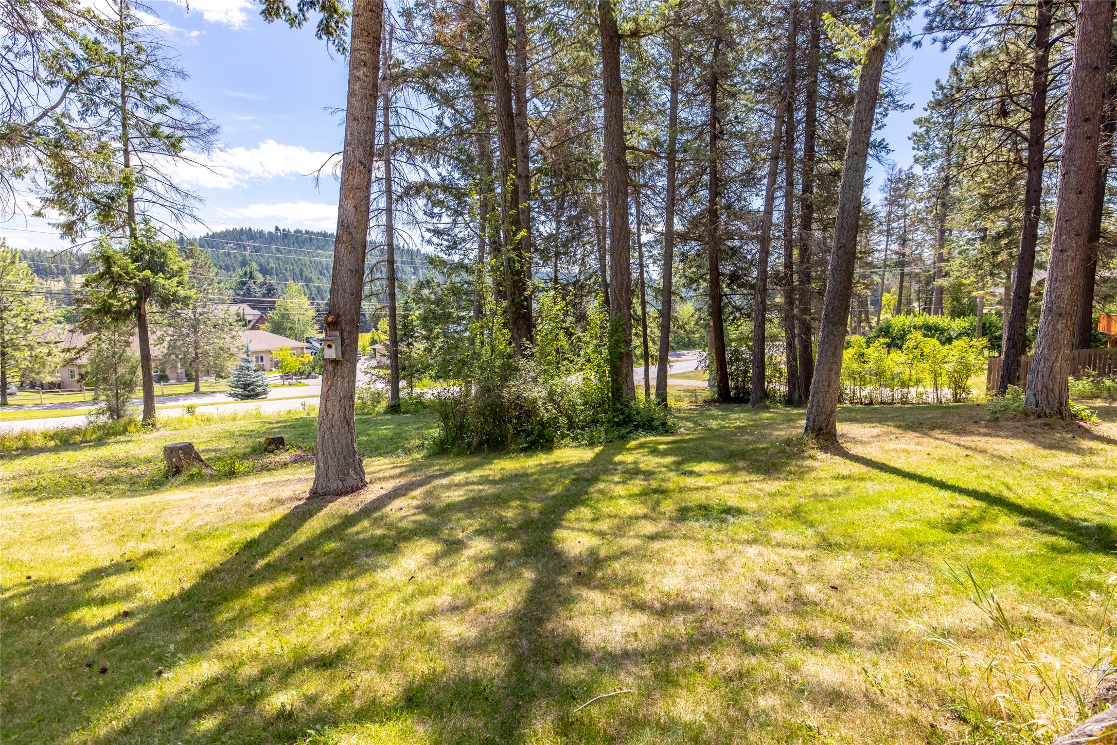 480 Political Hill Road