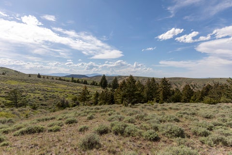 Tiny photo for 386 Ross Gulch Road, Townsend, MT 59644 (MLS # 30072281)