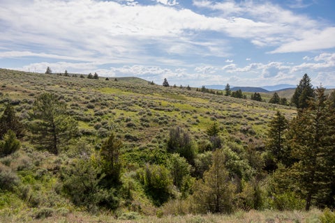 Tiny photo for 386 Ross Gulch Road, Townsend, MT 59644 (MLS # 30072281)