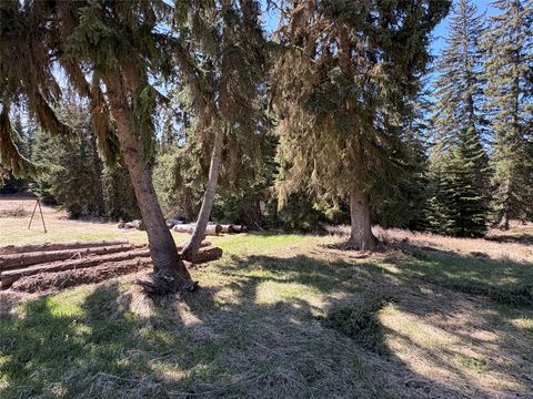 Tiny photo for 4891 & 4875 US Highway 93 W, Whitefish, MT 59937 (MLS # 30064119)