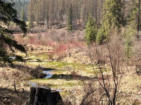 Tiny photo for 4891 & 4875 US Highway 93 W, Whitefish, MT 59937 (MLS # 30064119)