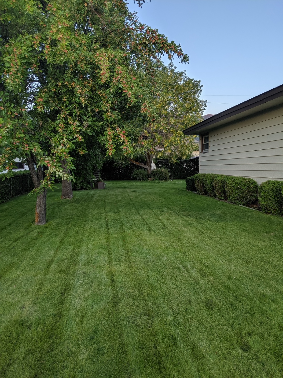 Butte, Montana 59701, United States, 4 Bedrooms Bedrooms, ,2 BathroomsBathrooms,Residential,Pending,24884