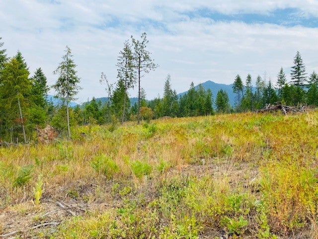 Nhn Creek View Lane