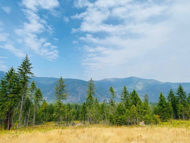 Nhn Creek View Lane