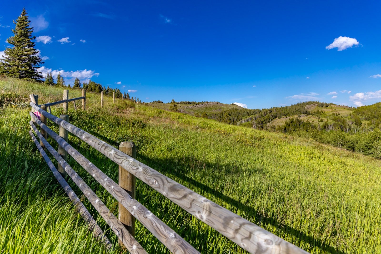 NHN East Glacier Park