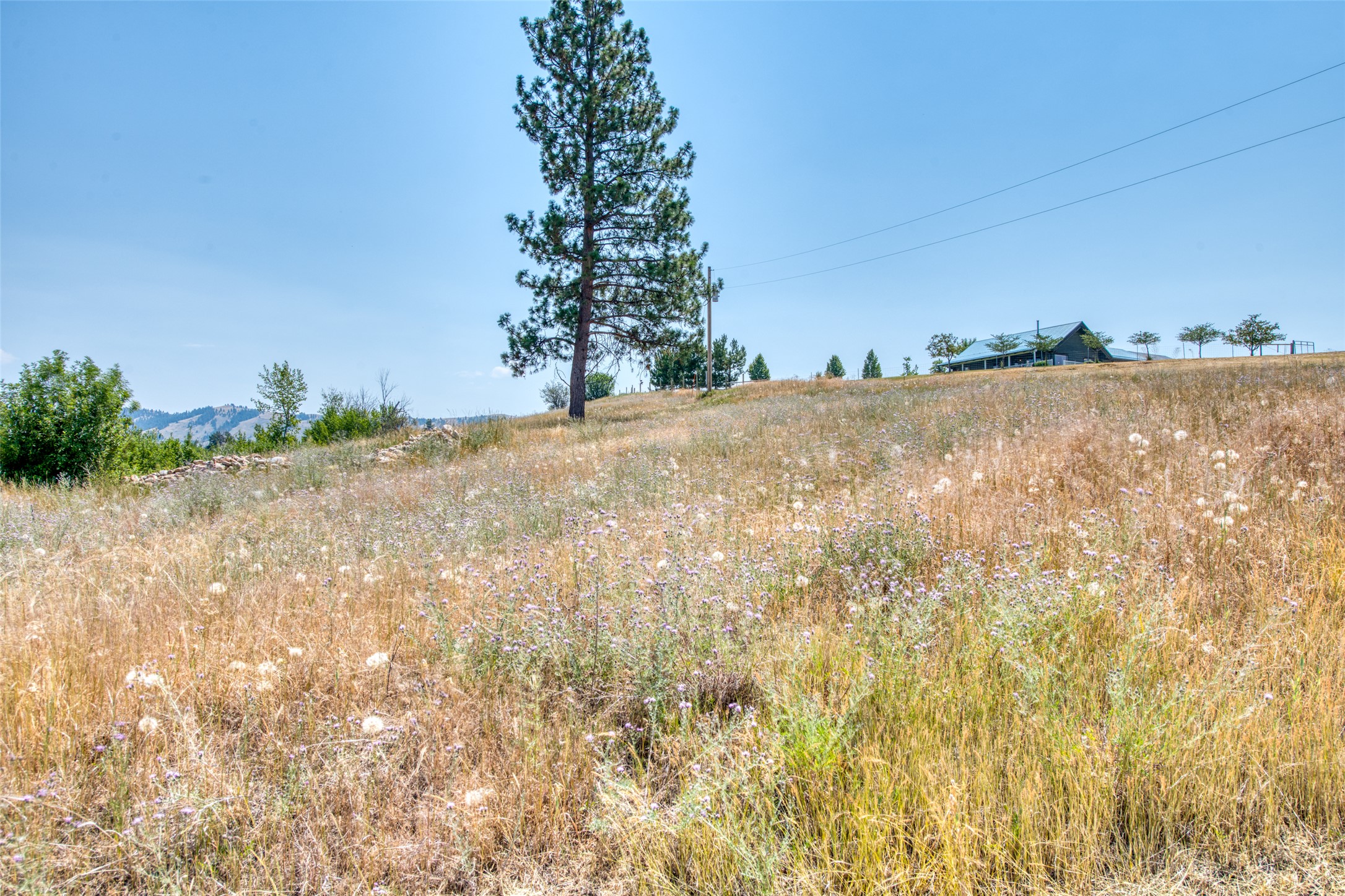 Hamilton, Montana 59840, United States, 3 Bedrooms Bedrooms, ,3 BathroomsBathrooms,Residential,Active,104354