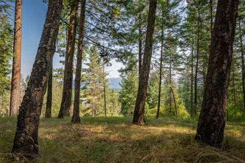 Tiny photo for 2790 Mt Highway 82, Bigfork, MT 59911 (MLS # 30076629)