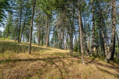 Tiny photo for 2790 Mt Highway 82, Bigfork, MT 59911 (MLS # 30076629)