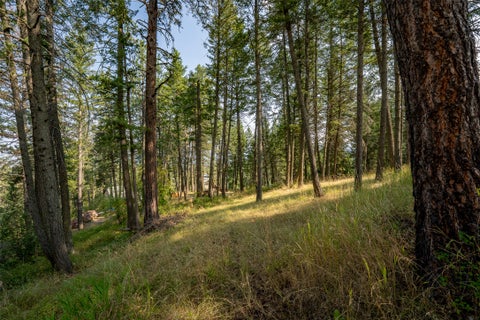 Tiny photo for 2790 Mt Highway 82, Bigfork, MT 59911 (MLS # 30076629)