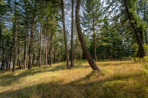 Tiny photo for 2790 Mt Highway 82, Bigfork, MT 59911 (MLS # 30076629)