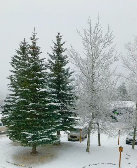Tiny photo for 3889 Big Mountain Road #203, Whitefish, MT 59937 (MLS # 30053680)