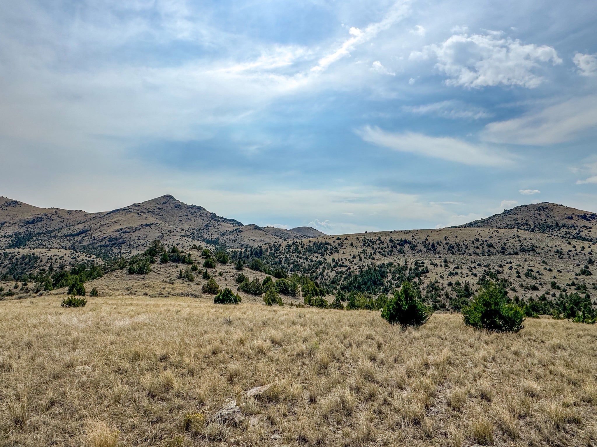 TBD Johnny Gulch Road