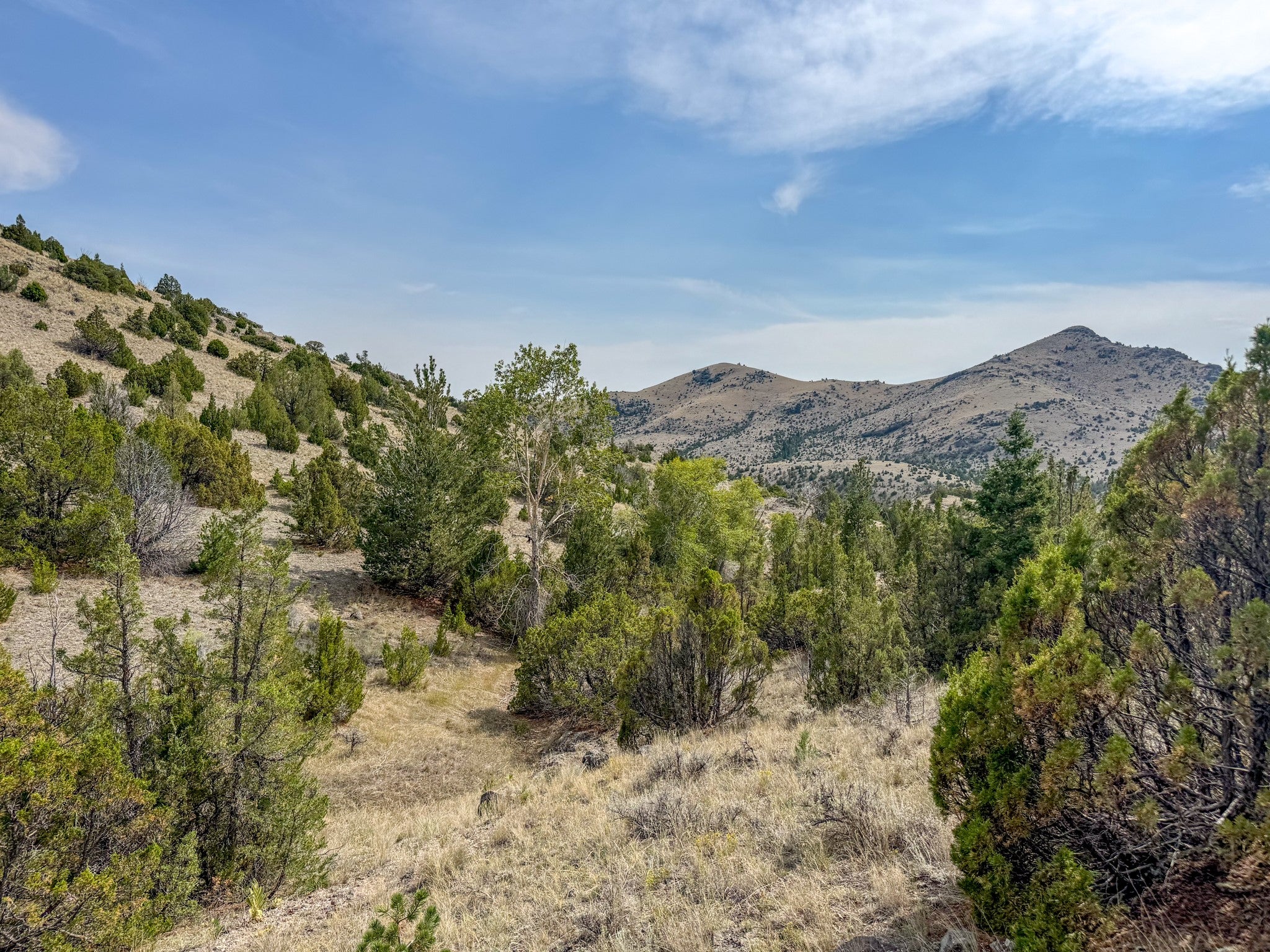 TBD Johnny Gulch Road