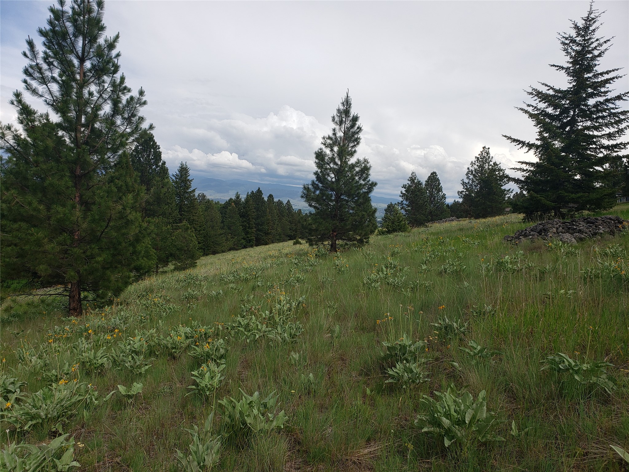 Photo 1 of 19 — Nhn Oertli Lane, Hamilton, MT 59840