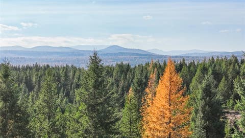 Tiny photo for 226 Lupfer Road, Whitefish, MT 59937 (MLS # 30069104)