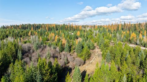 Photo of 226 Lupfer Road, Whitefish, MT 59937 (MLS # 30069104)