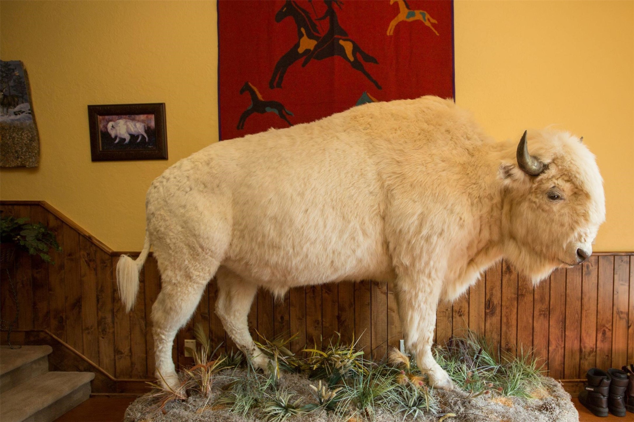 Darby, Montana 59829, United States, 12 Bedrooms Bedrooms, ,16 BathroomsBathrooms,Residential,Pending,61822