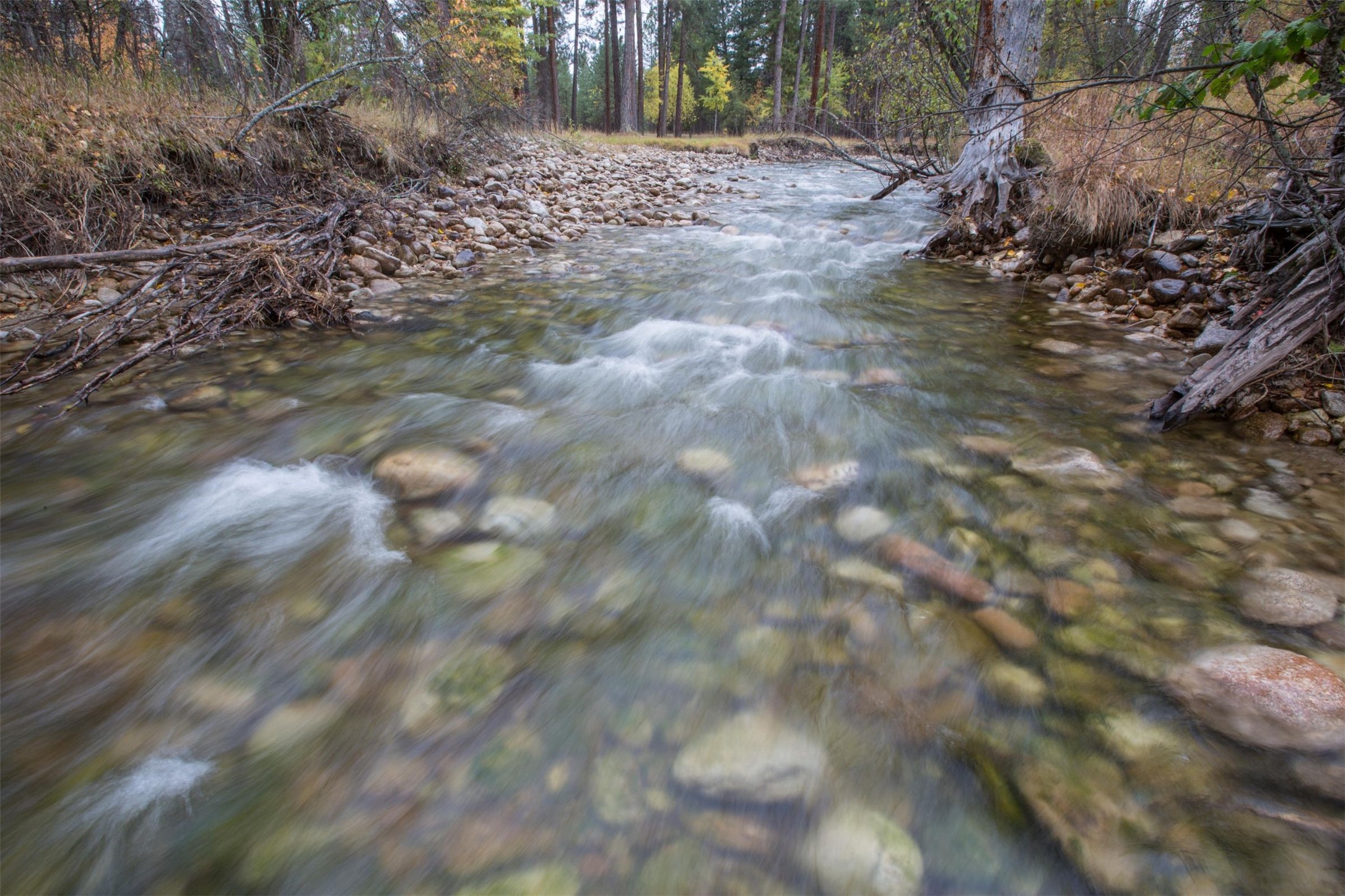 Darby, Montana 59829, United States, 12 Bedrooms Bedrooms, ,16 BathroomsBathrooms,Residential,Pending,61822