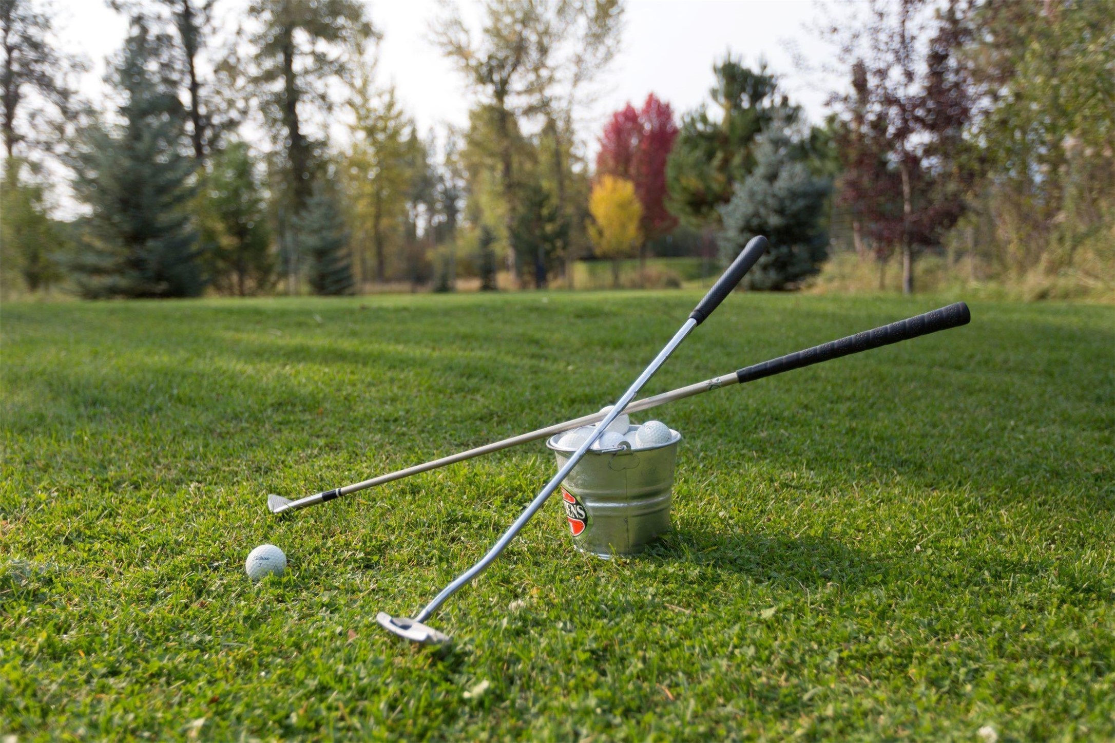 Darby, Montana 59829, United States, 12 Bedrooms Bedrooms, ,16 BathroomsBathrooms,Residential,Pending,61822